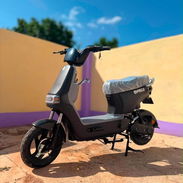 MOTO VEDCA LT 2026 - Img 56880304