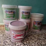 Ventas de todo tipos de pinturas - Img 56388004