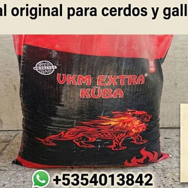 Pienso pienso pienso - Img 124349550