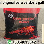 Pienso pienso pienso - Img 56105407