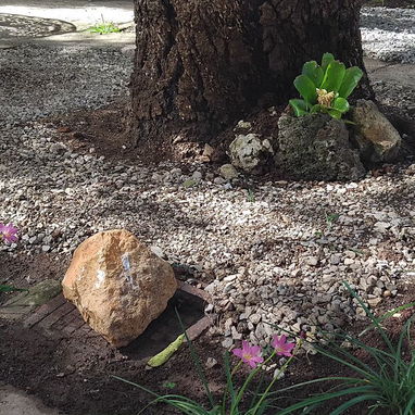 SERVICIOS DE JARDINERÍA PARA CONSULADO EMBAJADAS PARTICULARES MIPIME 52892459 - 4/4