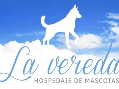 Guarderia para mascotas Hostal “La Vereda” - Img main-image-45317243