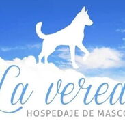 Guarderia para mascotas Hostal “La Vereda” - Img 45317243