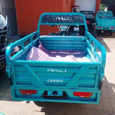 TRICICLO RALI CARGO - 2/4