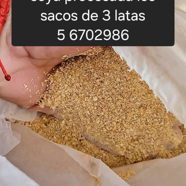 Vendo Pienso para cerdo y otros granos - 4/4