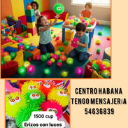 Erizos que alumbra - Img 55819708