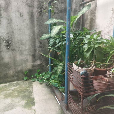 2 CASAS EN VENTA EN EL CERRO - 6/10