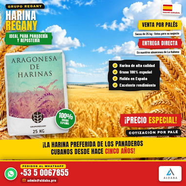HARINA ESPAÑOLA - 2/5