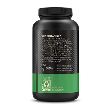 GLUTAMINA OPTIMUM NUTRITION - Img 123165213