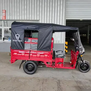 🛺 JIMPEG PANTHER 2026 - 3000W - 90km - 700kg - ¡CON TECHO, EXTENSOR 5000W Y PANEL SOLAR 625W! - 5/7