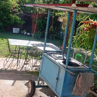 Vendo carro de frituras - Img 122663103