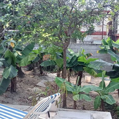 (al320)-100000-Casa independiente en Reparto Santos Suárez.(53022922).(www.ventacasasmandy.com). - Img 116609784