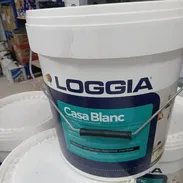 Pintura vinil blanca marca LOGGIA 96 usd (20 kg) - Img 54843826
