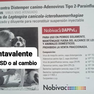 medicamentos para mascotas - 3/4
