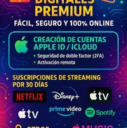 SE CREAN TODO TIPO DE SERVICIOS PREMIUN ONLINE - Img 50724814