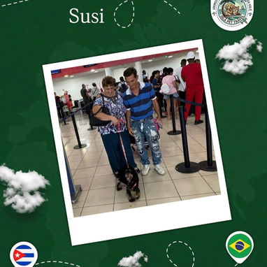 Agencia de viaje internacional de mascota - 4/10