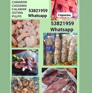 Mariscos . Pescados y carnicos habana - Img main-image-50769797