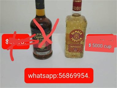 Tequila - Img main-image-45772132