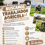 SE NECESITA TRABAJADOR AGRICOLA EN LA LISA,MUY BUENOS SALARIOS - Img 57679587