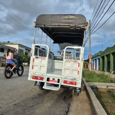 Triciclo de combustión Lifan 300 cc - 2/4