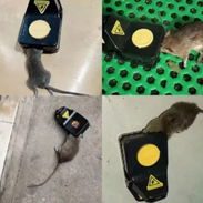 Ratoneras Grandes y medianas. adios plagas - Img 54419236