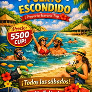 Excursiones disponibles para este Verano ☀️ - Img 56171737