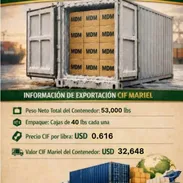 Contenedor de picadillo MDM - Img 58426133