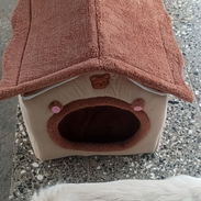 Casita para perros original - Img 54749441
