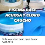 Todo pintura piscina 54703213 - Img 56844598