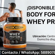 WHEY PROTEIN BODY FORTRESS 58890782 - Img 58102943