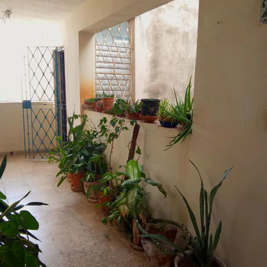 🏠 APARTAMENTO EN VENTA | #234 VEDADO, PLAZA - 10/10