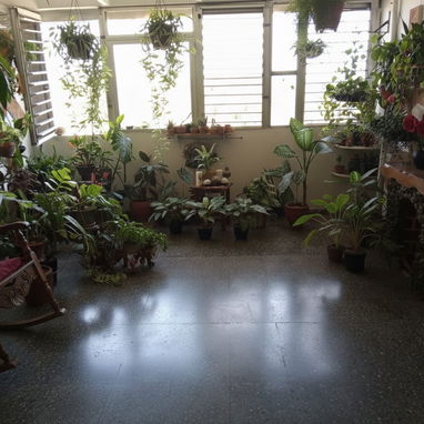 Venta de Apartamento en Reparto Antonio Guiteras ("Bahía") - Img 125995409