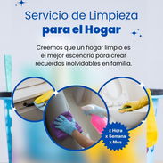Limpiar a fondo una casa no es solo tiempo: es esfuerzo físico 💦, productos que muchas veces no son los adecuados. - Img 56340828