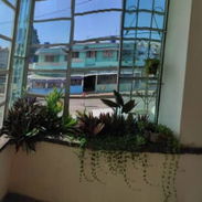 Ref# 80. Casa biplanta en altos super céntrica con 4 cuartos y placa libre!!! - Img 56543695