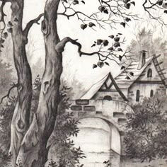 Clases de Dibujo Académico para jóvenes y adultos - Img 121401153