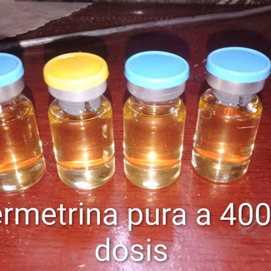 💥Venenos para todo tipo de plagas ,Garantizados💯👌 - Img 122598714