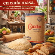 🪔 *HARINA CANDOR - MOLINO 3 CASTILLOS - SACOS 50KG* Precio x contenedor: 20.516,000USD* - Img 55313268