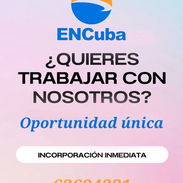 Empleo Habana|Trabajo a distancia|Empleo en la Habana| Promotores de venta| Trabajo con marcas. - Img 53906474