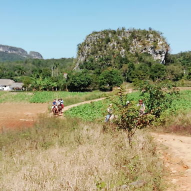 ⚡️🏇Renta casa con paneles solares en Viñales⚡️/Alquila casa en Viñales/Rent a house/Accommodation - Img 124374978