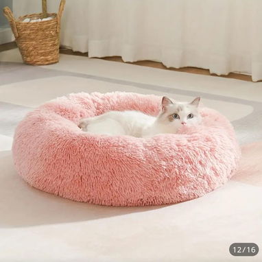 Productos para mascotas - Img 119748045