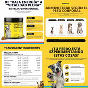 Multivitamínico Todo en Uno para Perros – Kadays - Img 58126605