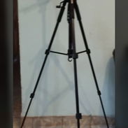 Artículos para estudio fotográfico - Img 55623744