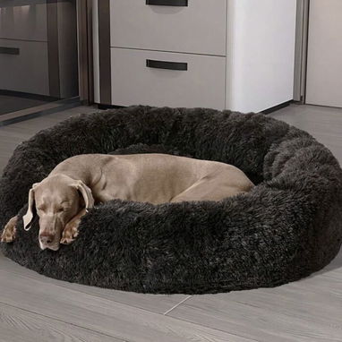 Collares y correas para perros - Img 124250900