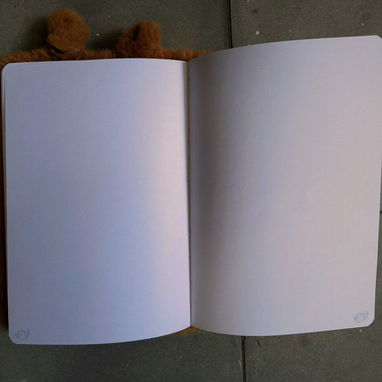 Cuaderno de capibara o de colores pop de niña 90 páginas, 1700 CUP,Vedado - 4/6