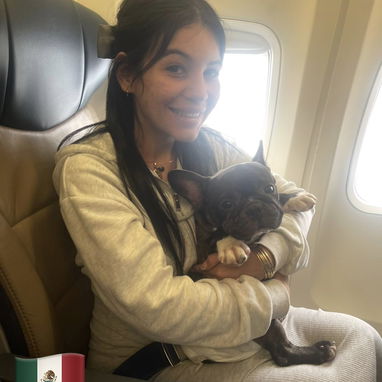 AGENCIA DE VIAJES DE MASCOTA - Img 123866803