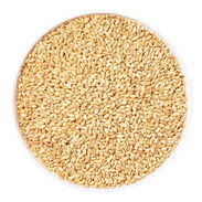 Qingke Dried Barley Rice High-Quality Wholesale Barley Rice Supplier - Img 56654643