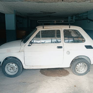 Polski-Polako-Polakito en venta - 3/4
