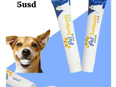 Higiene bucal para perros. Pastas/Cepillos/Toallitas Húmedas dentales - Img 62164113