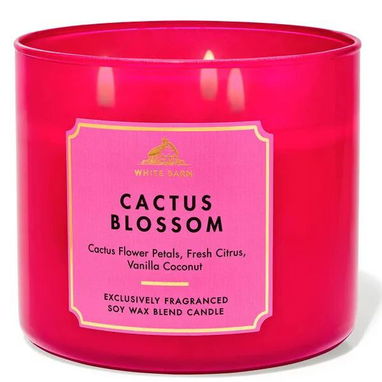 Velas aromáticas - Img 122936223