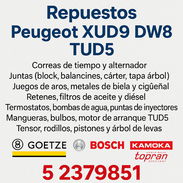 PEUGEOT (XUD9, DW8, TUD5) - Img 51907525